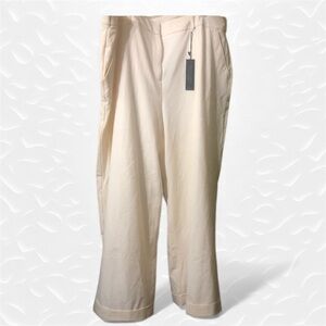 Lane Bryant The Lena Tailored Stretch Pants 😍